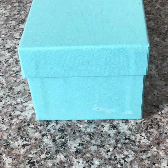 Tiffany & Co. Cat eye tortoise sunglasses - Picture 11 of 11